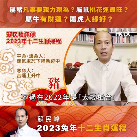 蘇民峰2023年生肖運程|蘇民峰2023十二生肖運程｜屬雞、狗、豬、鼠、牛、 